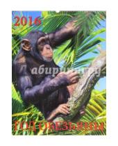 Картинка к книге Календарь настенный 460х600 - Календарь настенный на 2016 год "Год обезьяны" (13611)