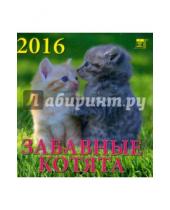 Картинка к книге Календарь настенный 160х170 - Календарь настенный на 2016 год "Забавные котята" (30605)
