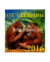 Картинка к книге Календарь настенный 160х170 - Календарь настенный на 2016 год "Год обезьяны" (30607)