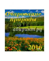 Картинка к книге Календарь настенный 160х170 - Календарь настенный на 2016 год "Очарование природы" (30611)