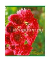 Картинка к книге АппликА - Тетрадь 60 листов "Красные цветы" (С1397-20)