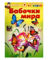 Картинка к книге Волшебный карандаш - Раскраска. Бабочки мира