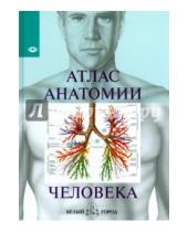 Картинка к книге Занимательные науки - Атлас анатомии человека