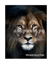 Картинка к книге Блокнот настоящего хищника - Блокнот настоящего хищника "Лев"
