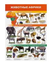 Картинка к книге Плакаты - Плакат "Животные Африки" (2705)