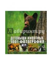 Картинка к книге АСТ - Детеныши животных. 1001 фотография