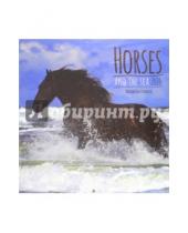 Картинка к книге Presco - Календарь на 2016 год "Лошади и море", 30х30 см (2928)
