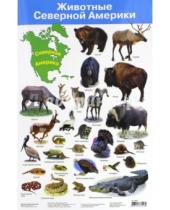 Картинка к книге Плакаты - Животные Северной Америки. Демонстрационный плакат (2881)