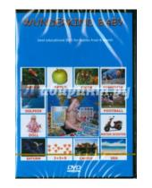 Картинка к книге Вундеркинд с пелёнок - "Wunderkind baby тм" на английском языке (DVD)