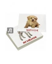 Картинка к книге В. Е. Епанова Е., Т. Носова - Комплект мини-карточек "Domestic animals/Домашние животные" (40 штук)