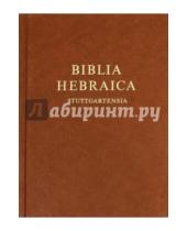Картинка к книге Российское Библейское Общество - BIBLIA HEBRAICA Stuttgartensia