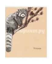 Картинка к книге Тетрадь - Тетрадь общая, 48 листов "Животные. Графика", 5 видов (34167-5)