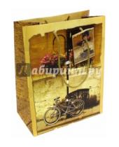 Картинка к книге Бумажные пакеты - Пакет бумажный "Велосипед" (17,8х22,9х9,8 см) (39657)