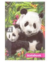 Картинка к книге Записная книжка - Записная книжка "Милые панды" (80 листов, А7) (39799-48)