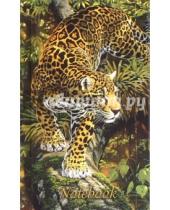 Картинка к книге Записная книжка - Записная книжка "Леопард" (80 листов, 90x143 мм) (39828-30)
