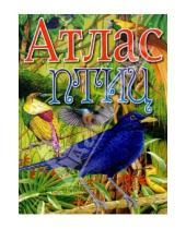 Картинка к книге Григорьевич Владимир Бабенко - Атлас птиц