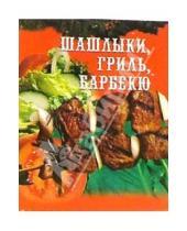 Картинка к книге Мини - Шашлыки, гриль, барбекю и соусы к ним