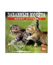 Картинка к книге Медный всадник - Календарь: Забавные котята 2006 год