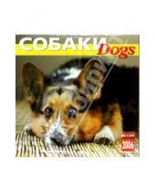 Картинка к книге Медный всадник - Календарь: Собаки 2006 год