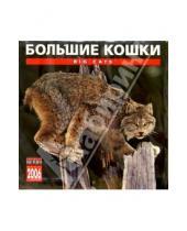 Картинка к книге Медный всадник - Календарь: Большие кошки 2006 год