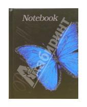 Картинка к книге Тетради - Книга для записей 64 листа "Голубая бабочка" (КЗБ16403)