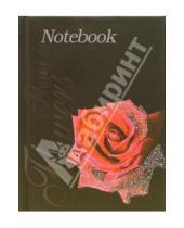 Картинка к книге Тетради - Книга для записей 64 листа "Красная роза" (КЗБ16405)