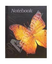 Картинка к книге Тетради - Книга для записей 64 листа "Оранжевая бабочка" (КЗБ16404)