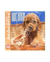 Картинка к книге Медный всадник - Календарь: Забавные щенки 2006 год