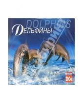 Картинка к книге Медный всадник - Календарь: Дельфины 2006 год