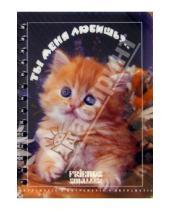 Картинка к книге КТС-про - Записная книжка А6 клетка, пластиковая обложка. Котята (С16829-32)