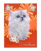 Картинка к книге КТС-про - Записная книжка А6 Белый котенок на красном /С94119