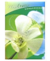 Картинка к книге КТС-про - Ежедневник А5 С24801 Жемчужная орхидея