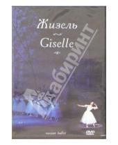 Картинка к книге Фильм-балет - Жизель. Русский балет (DVD)