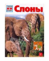 Картинка к книге Ульрих Зедлаг - Слоны