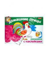 Картинка к книге Раскраска с наклейками - Мои первые уроки "Домашние птицы" (05825)