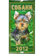 Картинка к книге Календари настенные на ригеле 285*285 - Календарь настенный перекидной "Собаки" на 2012 год