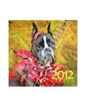 Картинка к книге Календари настенные (6 листов) - Календарь 2012 "Собаки"