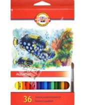 Картинка к книге Цветные карандаши более 20 цветов - Карандаши цветные, 36 цветов "Рыбки" (акварель) (3719)
