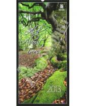 Картинка к книге Контэнт - Календарь 2013. All About Trees/Все о деревьях