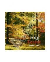 Картинка к книге Контэнт - Календарь 2013. Forest/Лес