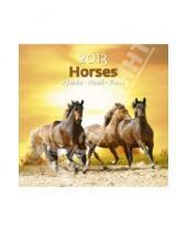 Картинка к книге Контэнт - Календарь 2013. Horses/Лошади