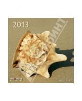 Картинка к книге Календарь 300х300 - Календарь 2013 "Пляжные сокровища" (75947)