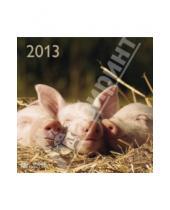 Картинка к книге Календарь 300х300 - Календарь 2013 "Свиньи" (76073)