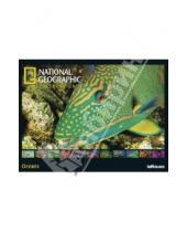 Картинка к книге Календарь 640x480 - Календарь на 2013 год. National Geographic. Океаны (75953)