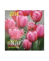 Картинка к книге Календари настенные 285*285 - Календарь на 2014 год "Цветы. Советы цветоводу" (А3-112-142)