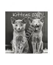 Картинка к книге Календарь 300х300 - Календарь на 2014 год "Котята" (7-6207)