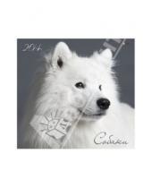 Картинка к книге Календари - Календарь 2014 "Собаки. Верные друзья" (КС121407)