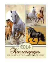 Картинка к книге Календари - Календарь на 2014 год с магнитным креплением "Символ года. Лошадь 3" (32021)