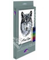 Картинка к книге Феникс+ - Набор цветных карандашей, 12 цветов "Волк" (32870-12)